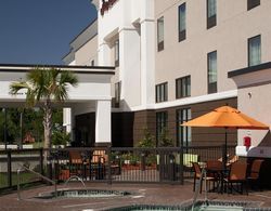 Hampton Inn and Suites Marksville, LA Genel