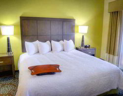 Hampton Inn and Suites Pensacola Gulf Breeze Genel