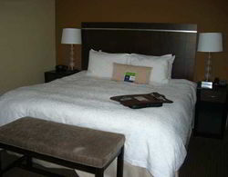 Hampton Inn and Suites Pueblo/North Genel