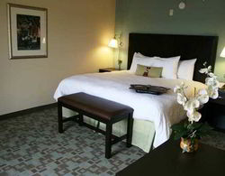 Hampton Inn and Suites Savannah-Airport Genel
