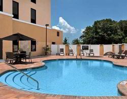 Hampton Inn and Suites Tampa Northwest/Oldsmar Genel