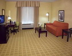 Hampton Inn Baton Rouge - Denham Springs  Genel