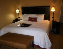 Hampton Inn Baton Rouge - Denham Springs  Genel