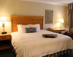 Hampton Inn Caryville-I-75/Cove Lake-State Park Genel