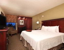 Hampton Inn Detroit/Madison Heights/South Troy Genel