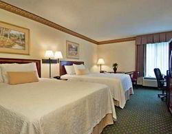 Hampton Inn Dumfries/Quantico Genel