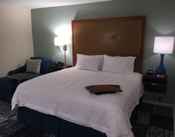 Hampton Inn Norcross, GA Genel