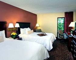 Hampton Inn Rochester-North Genel