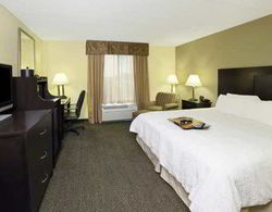 Hampton Inn & Suites Alexandria Genel