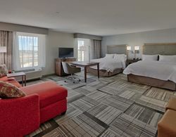 Hampton Inn & Suites Artesia, NM Genel