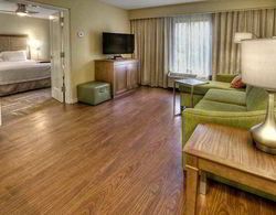 Hampton Inn & Suites Asheville-I-26  Genel