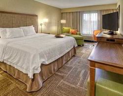 Hampton Inn & Suites Asheville-I-26  Genel