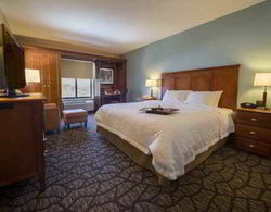 Hampton Inn & Suites Binghamton Vestal Genel