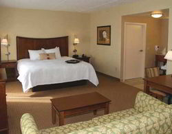 Hampton Inn & Suites Blairsville Genel