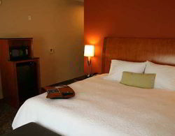 Hampton Inn & Suites Buffalo Genel