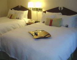 Hampton Inn & Suites Cleveland Airport Middleburg Genel