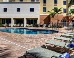 Hampton Inn & Suites - Coconut Creek, FL Havuz