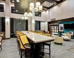 Hampton Inn & Suites Columbia/South Genel