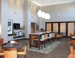 Hampton Inn & Suites DeLand, FL Genel