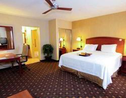 Hampton Inn & Suites Denver  Genel