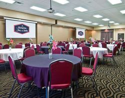 Hampton Inn & Suites Millington Genel