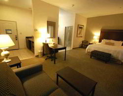 Hampton Inn & Suites Mount Pleasant Genel