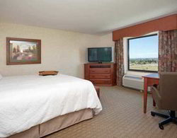 Hampton Inn & Suites Pocatello Genel