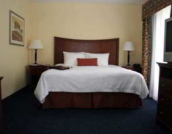 Hampton Inn & Suites Savannah - I-95 South - Genel