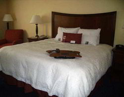 Hampton Inn & Suites Savannah - I-95 South - Genel