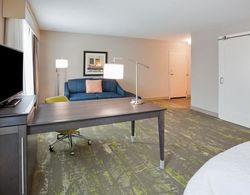 Hampton Inn & Suites Sioux City/South, IA Genel