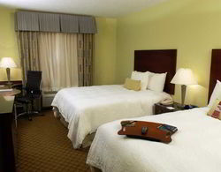 Hampton Inn & Suites South Lake Buena Vista Oda