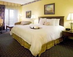 Hampton Inn & Suites St. Augustine-Vilano Beac Genel