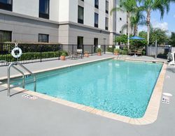 Hampton Inn & Suites Tampa-East Havuz