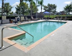 Hampton Inn & Suites Tampa-East Havuz
