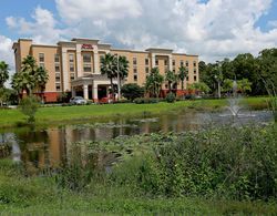 Hampton Inn & Suites Tampa-Wesley Chapel Genel