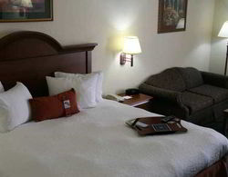 Hampton Inn & Suites Toledo-North Genel