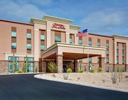 Hampton Inn & Suites Tucson Marana, AZ Genel