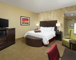 Hampton Inn & Suites Williamsport-Faxon Exit, PA Genel