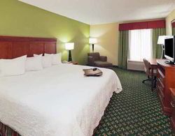 Hampton Inn Youngstown-North Genel