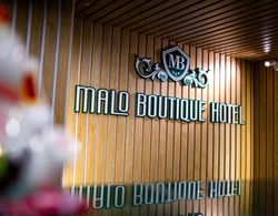 Hanoi Malo Boutique Hotel Dış Mekan