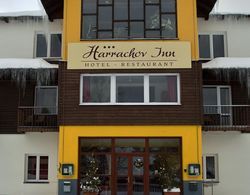 Hotel Harrachov Inn Dış Mekan