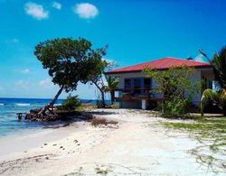 Hatchet Caye Resort Genel
