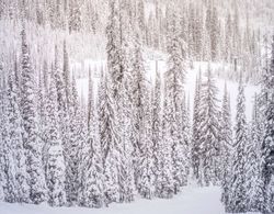Hayden Lodge by iTrip Vacations Aspen Snowmass Öne Çıkan Resim