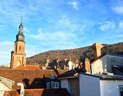 Heidelberg APHEARTMENTS Oda Manzaraları