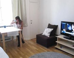 Helsinki Apartment Oda Düzeni
