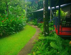 Heritage Lodge In the Daintree Genel