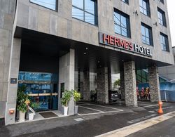 Hermes Hotel Yongin Dış Mekan