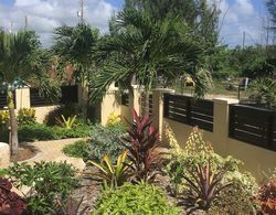Hidden Gem Barbados Dış Mekan