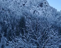 Highland Gojh Kasol Dış Mekan