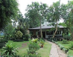 Hillside Resort Pattaya Genel